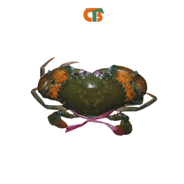 Blue sun carb (Whole)