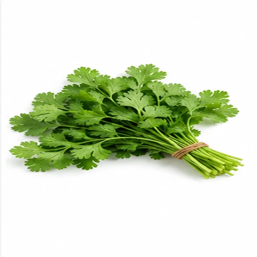 Coriander Leaf