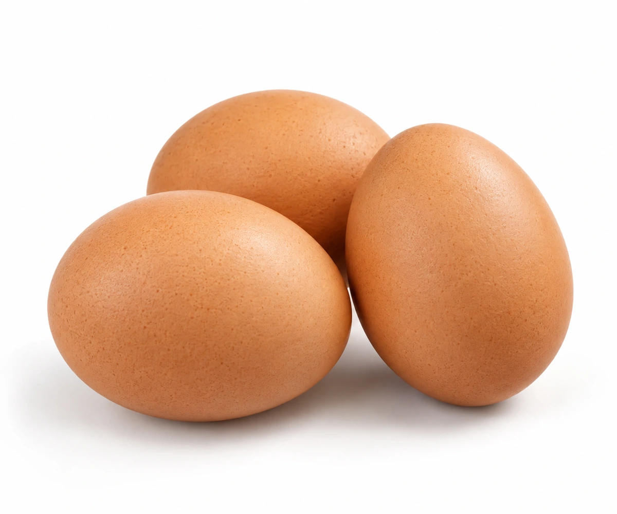Egg (B) — Brown layer eggs