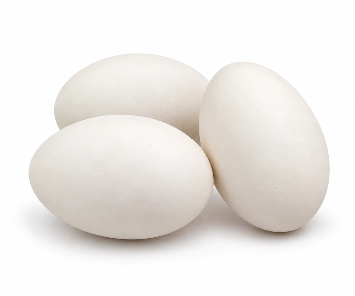 Egg (H) — Duck eggs — Hasher dim