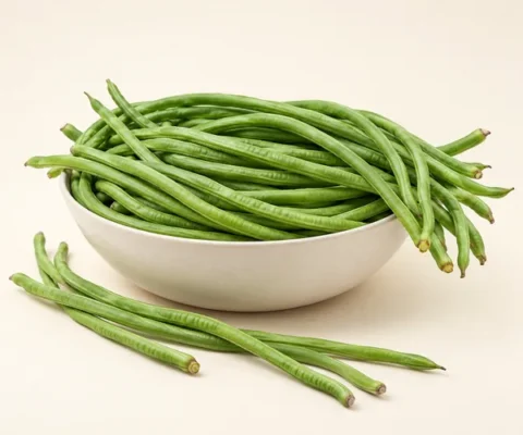 Borboti