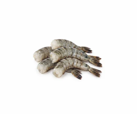 Tiger Shrimp (Headless)