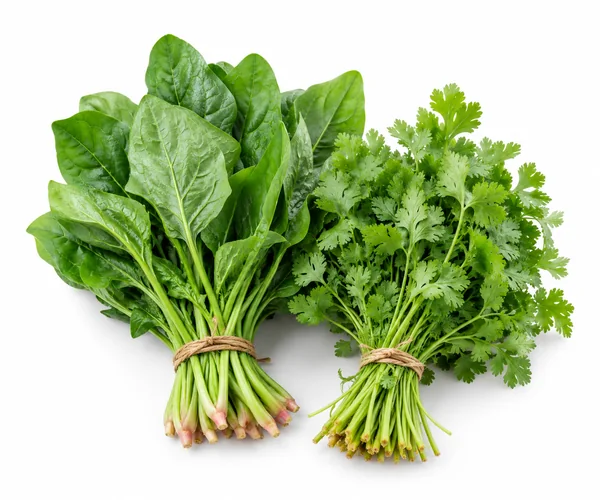 Leafies & Herbs